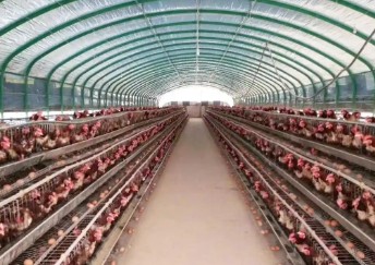 ���õĽ�����ֳ������Ҫ��Щ���ϣ�