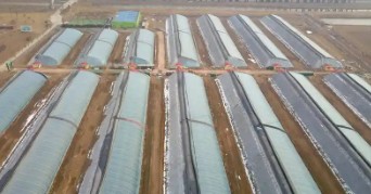 ���������߲˴��￹�����Ҫ��