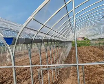 �����߲˴�����Ҫ������Щ����