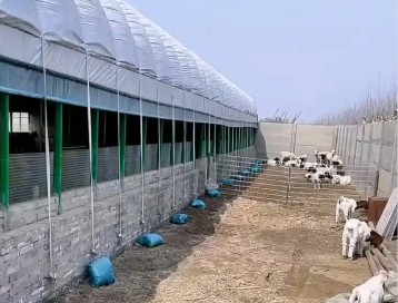 ��ֳ������ճ�ά��ע����������Щ