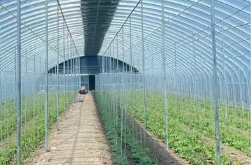 ������ֳ���ﶬ�����¼���